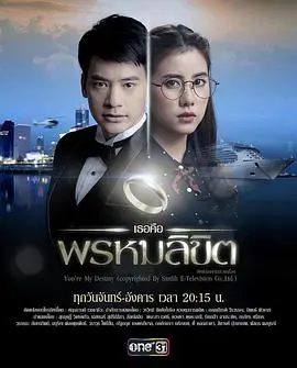 《命中注定我爱你泰语》：霸道总裁爱上我，泰式浪漫爆笑来袭！