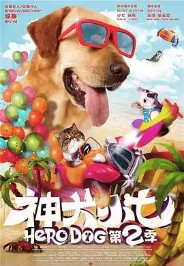 《神犬小七第二季》：萌宠治愈来袭，阳光海滩与忠犬的夏日冒险！