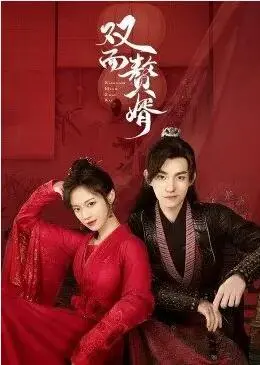 《双面赘婿》：扮猪吃虎还是真情流露？一部笑泪交织的逆袭爽剧！